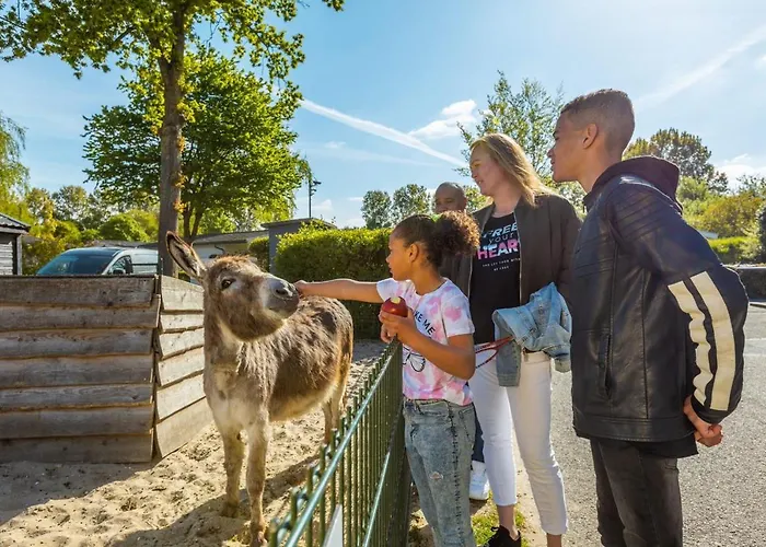 Europarcs Molengroet 假日公园 诺德施华伍德