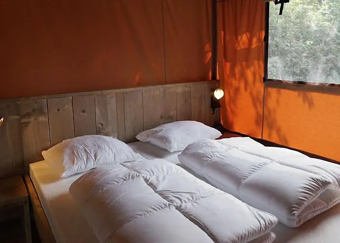 Europarcs Molengroet 4* 诺德施华伍德