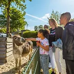 Europarcs Molengroet Kompleks wypoczynkowy Noord-Scharwoude