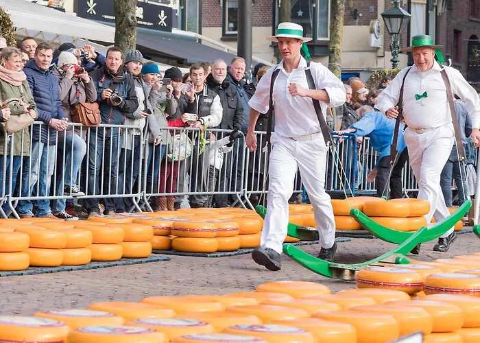 Parco vacanze Europarcs Molengroet